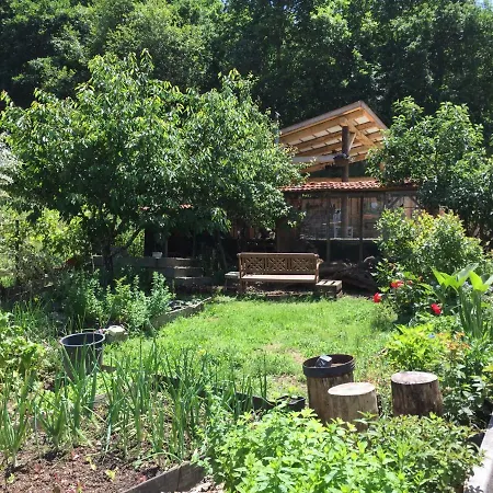 Casa Traca Bed & Breakfast Valbona