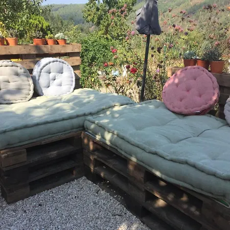 Casa Traca *