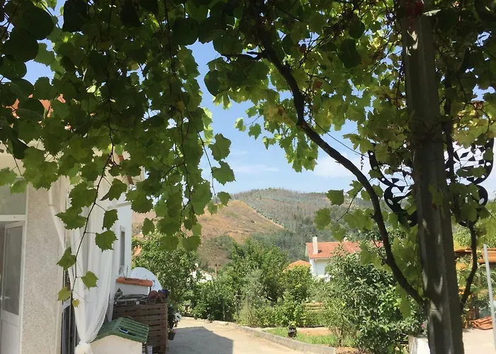 Panzió Casa Traca *