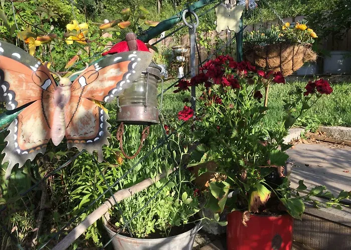 Panzió Casa Traca *